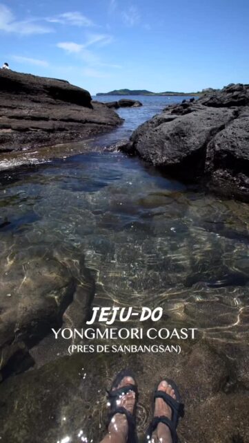 Yongmeori, la tête de dragon qui plonge dans l’océan 🐉

Entre légendes millénaires et merveilles géologiques, ce site classé à l’UNESCO ne se dévoile qu’aux marées basses. J’ai arpenté ses sentiers et je suis resté(e) sans voix devant tant de beauté… 🌊 yongmeori #jeju #jejudo #coreedusud #제주